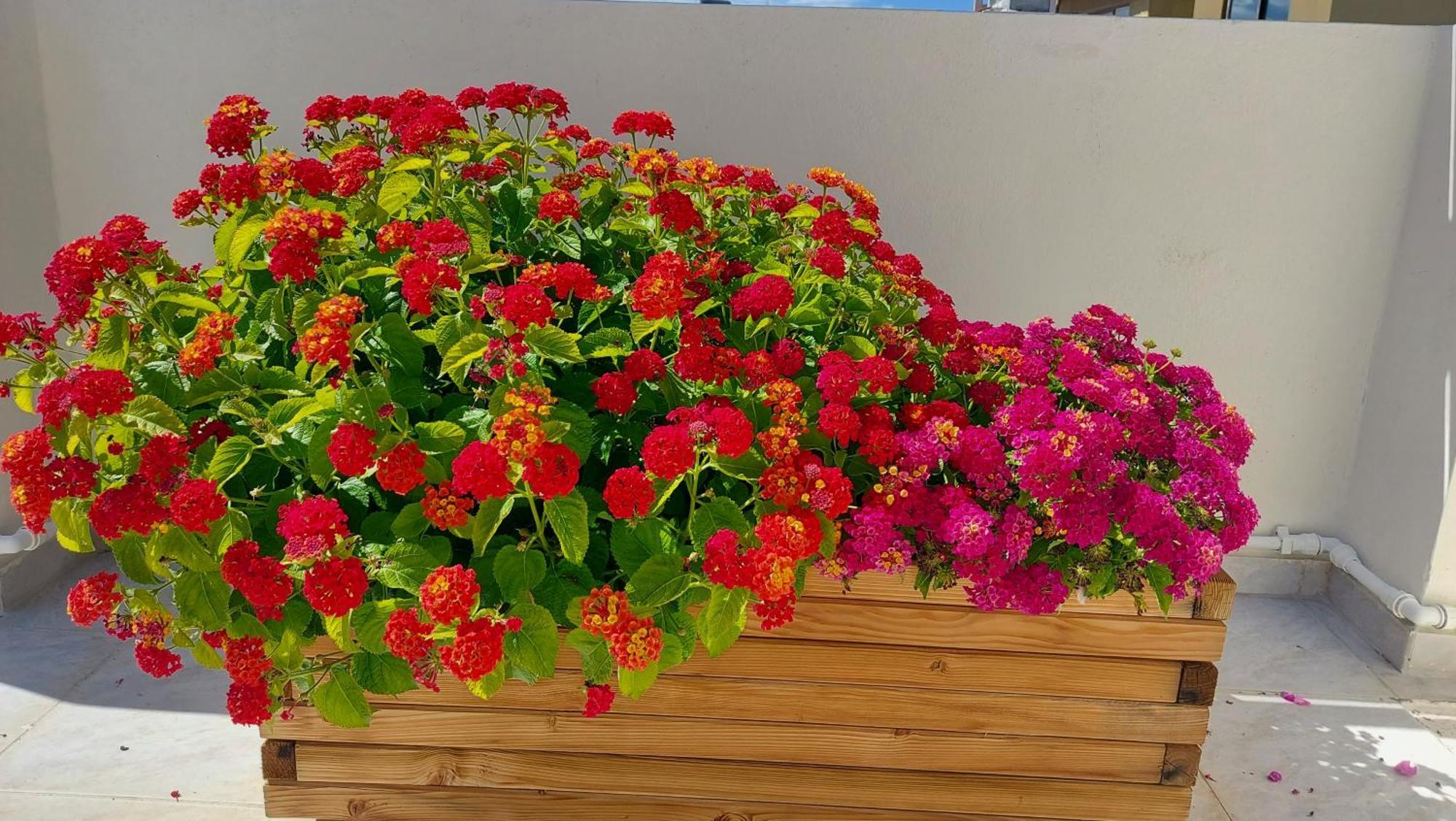 Elegant Apartment In The Heart Of Heraklion Екстериор снимка